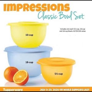 Tupperware impression bowls